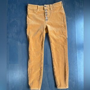 Anthropologie Pilcro Button-Fly Corduroy Velvet Pants Women’s size 28